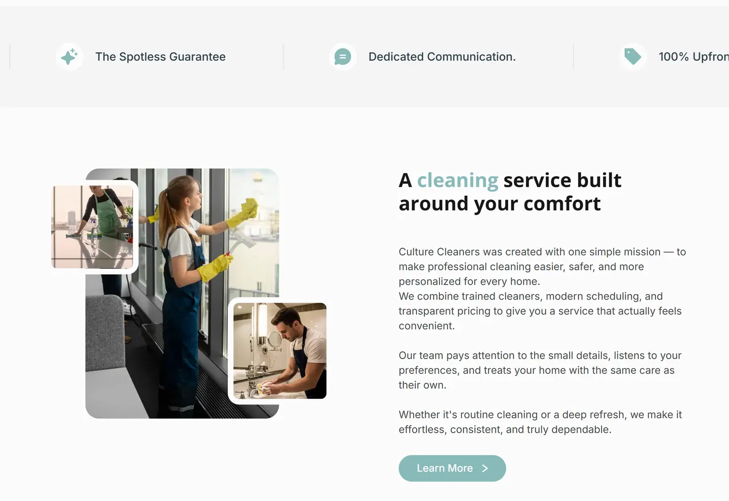 Culture Cleaners features